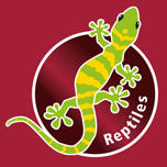 für alle kleinen Reptilien geeignet
