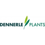 Dennerle Plants