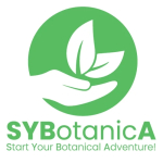 Hersteller: SYBotanicA