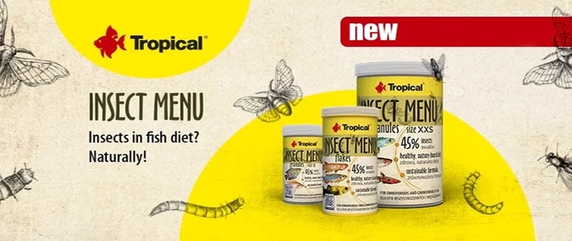 Tropical Insect Menu