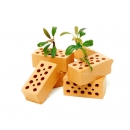 Mini Ziegel Terra - 6 Stück - B-Ware