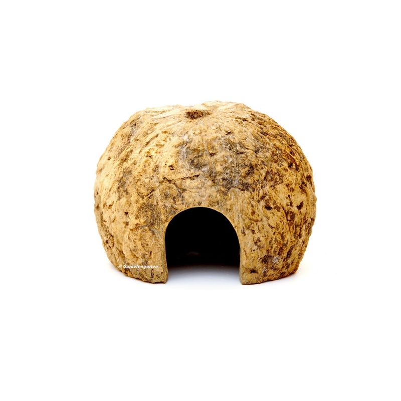 Paranuss Höhle | Halbschale mit Fronteingang - Garnelengarten