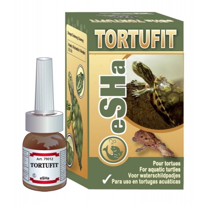 eSHa Tortufit