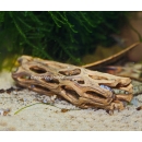 Vuka Holz natur Medium