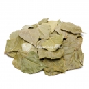 Garnelengarten® Pappelblätter 30 Stück