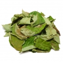 Garnelengarten® Wildkirsche Blätter 30 Stück