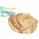 Garnelengarten® Jackfruit Blätter 10 Stück