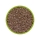 Hobby Artemia Eier 20 ml