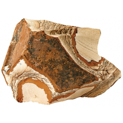 Picture Jasper - 4 St. im 3 kg Netz