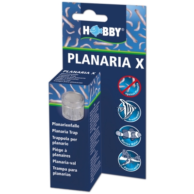 Hobby Planaria X | Planarienfalle