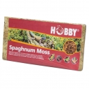 Hobby Sphagnum Moos