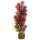 Hobby Flora Stone 8