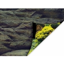 Aqua Nova Hintergrund Rock/Plants L - 100x50 cm