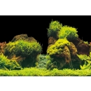 Aqua Nova Hintergrund Rock/Plants XL - 150x60 cm