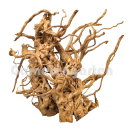 Moorwurzel XL | Selected Edition | Einzelstück