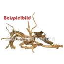 Moorwurzel Äste - Aufbindeholz