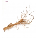 Curl Wood XL - CW4