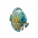 Nature4Pets - Discus Fish Plush
