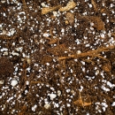 SYBotanicA Syngonium Mix | Erde für Pfeilspitzenpflanze