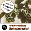 growbro Bierhopfen Anzucht Set