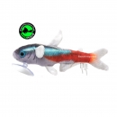 GreenPleco - Tetra Night Neon Plushie