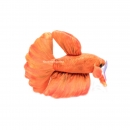 GreenPleco - Betta Oranje Plushie