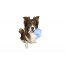 Kiwi Walker Whistle Figure S - Blau