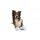 Kiwi Walker Whistle Figure L - Blau