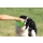 Kiwi Walker Travel Bottle 2in1