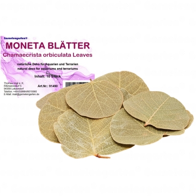 Garnelengarten® Moneta Blätter 10 St.