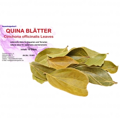 Garnelengarten® Quina Blätter 10 St.