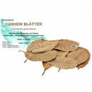 Garnelengarten® Cashew Blätter 10 St.