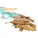 Garnelengarten® Mango Blätter 10 gr
