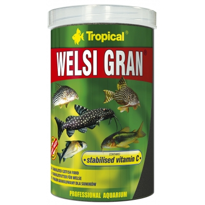 Tropical Welsi Gran