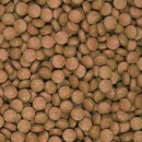 Tropical Supervit Tablets B - Bodentabletten