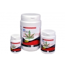 Dr. Bassleer Biofish Food CBD M 60 g