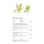 Helanthium Quadricostatus - Zwergschwertpflanze | In-Vitro