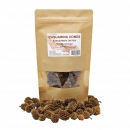 Casuarina Cones - Kasuarinen Zapfen 100 g