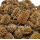 Casuarina Cones - Kasuarinen Zapfen 800 g