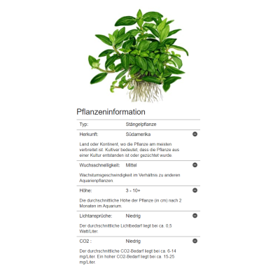 monstera pdf Mighty Monstera PDF Pattern  Nest Embirdery