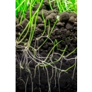Dennerle Plants Soil 3 Liter