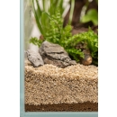 Dennerle Plants Substrate 1 Liter