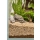 Dennerle Plants Substrate 1 Liter