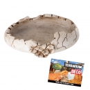 Reptile Nova Dish Dino Egg | Wasserschale