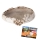 Reptile Nova Dish Dino Egg | Wasserschale