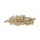 GlasGarten Immun Sticks • Care Food • MHD 04/26