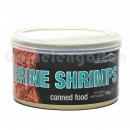 Artemia Koral Brine Shrimps