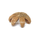 Wildkastanie getrommelt - B-Ware