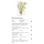 Heteranthera zosterifolia - Seegrasblättriges Trugkölbchen | In-Vitro
