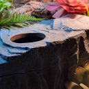 Terra Della Reptilienversteck Felsen | Wetbox - Größe S